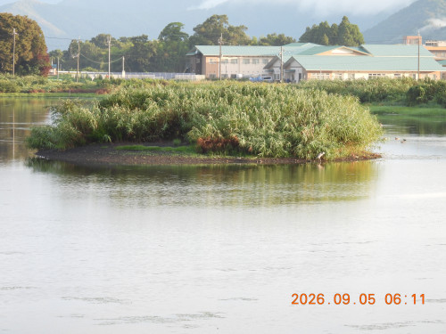 DSCN5393.JPG
