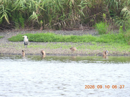 DSCN5459.JPG