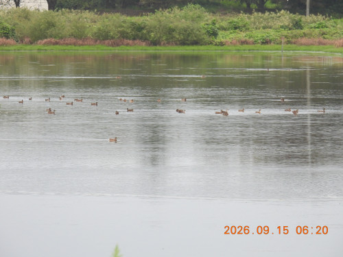 DSCN5491.JPG