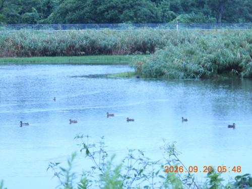 DSCN5511.JPG