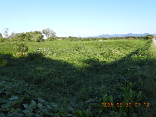 DSCN5690.JPG