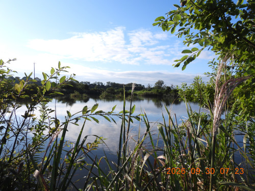 DSCN5695.JPG