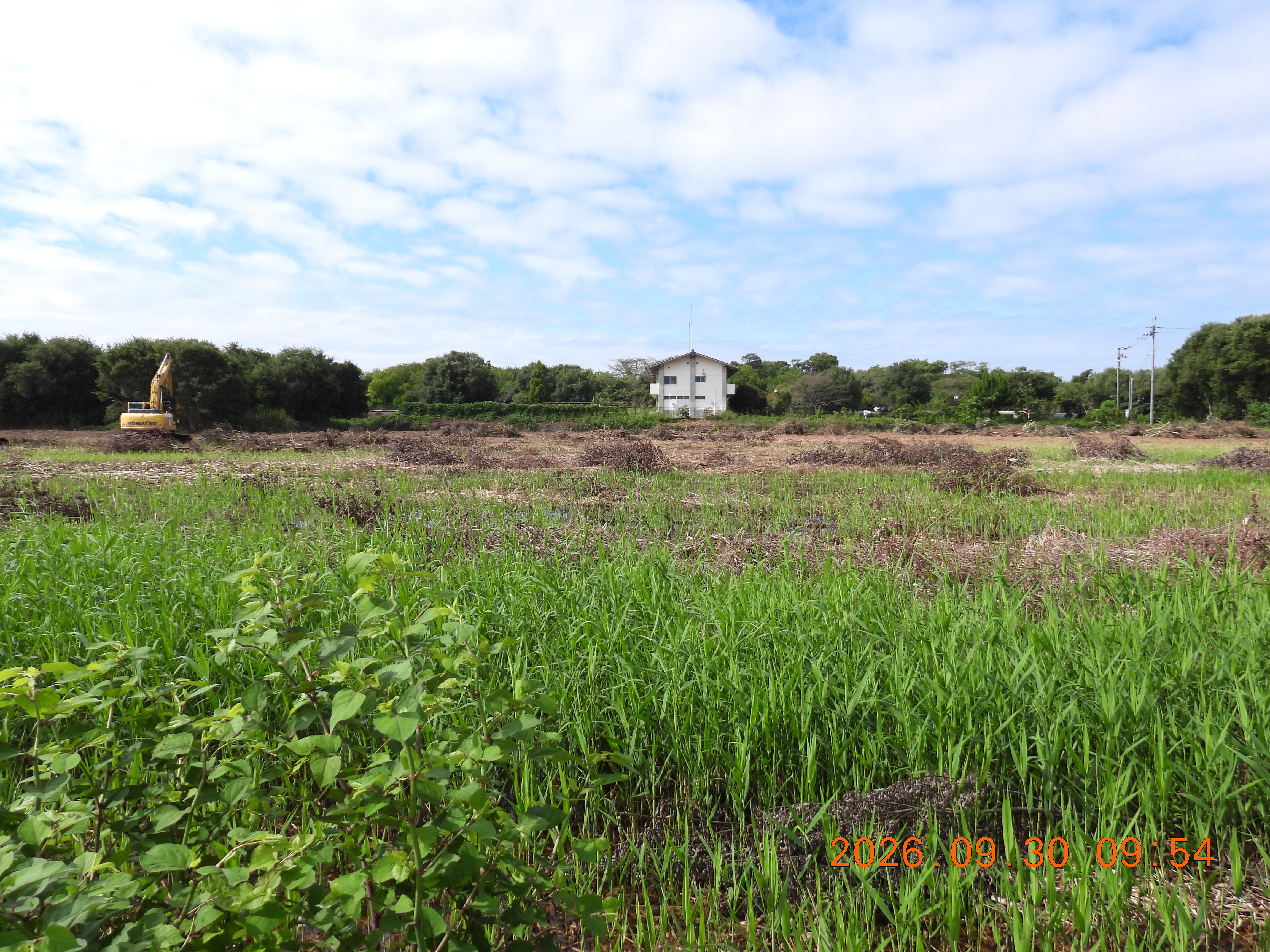 DSCN5705.JPG