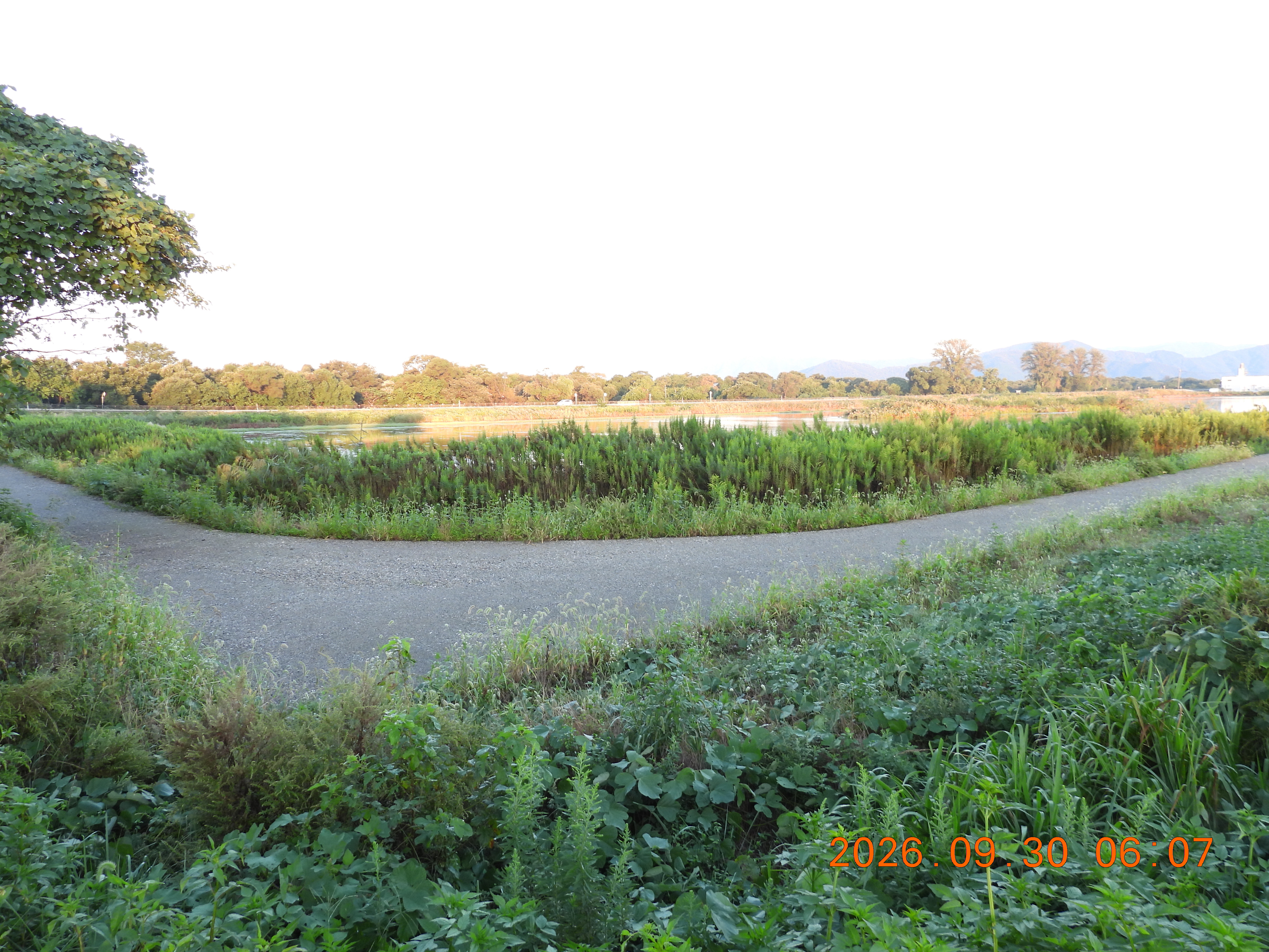 DSCN5635.JPG