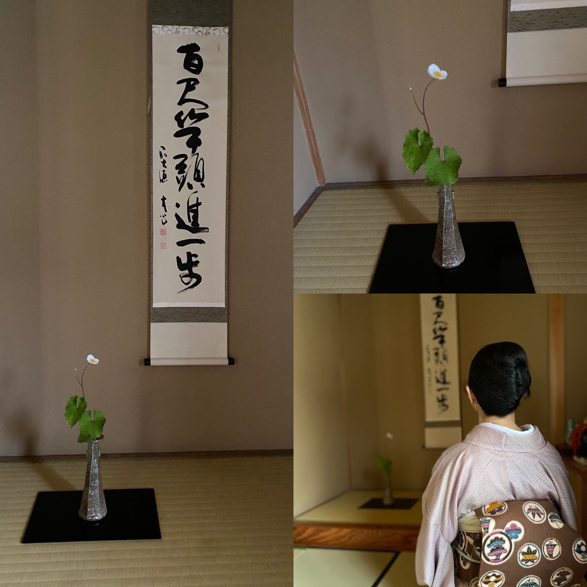 今日のお軸は…
