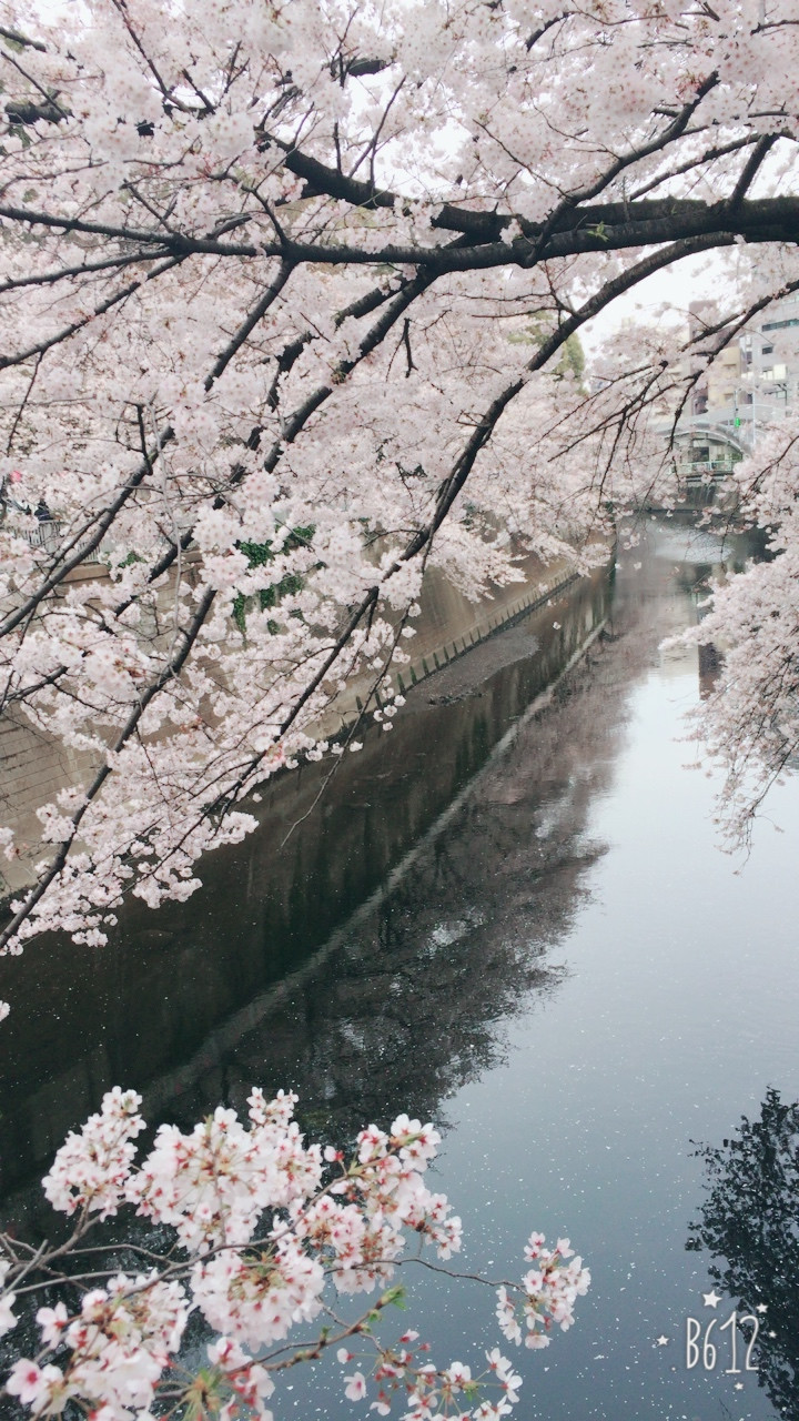写真 2017-04-05 15 51 37.jpg