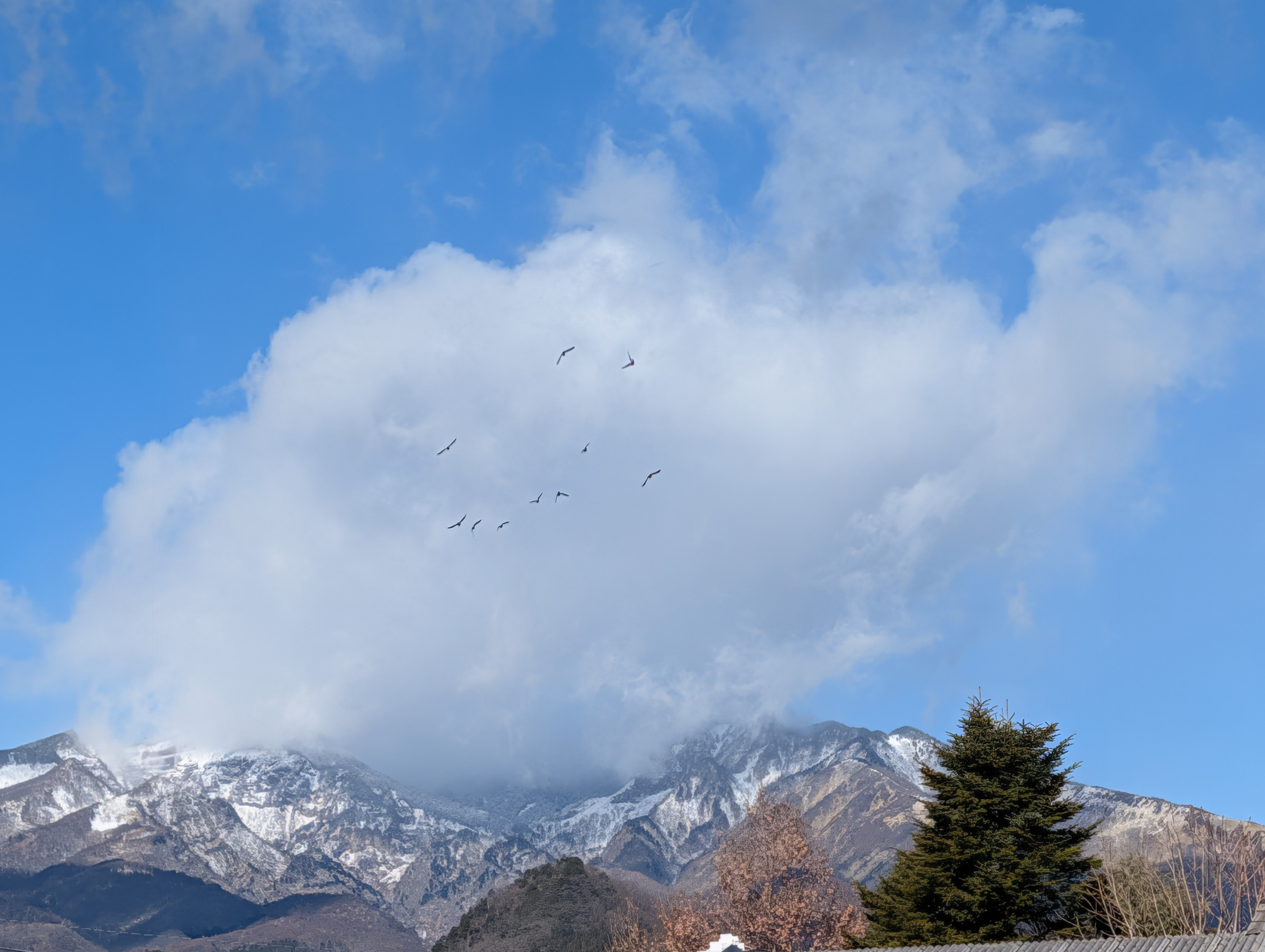 あなたの在留資格を守ります。