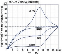 スキャモンの発育曲線.jpg