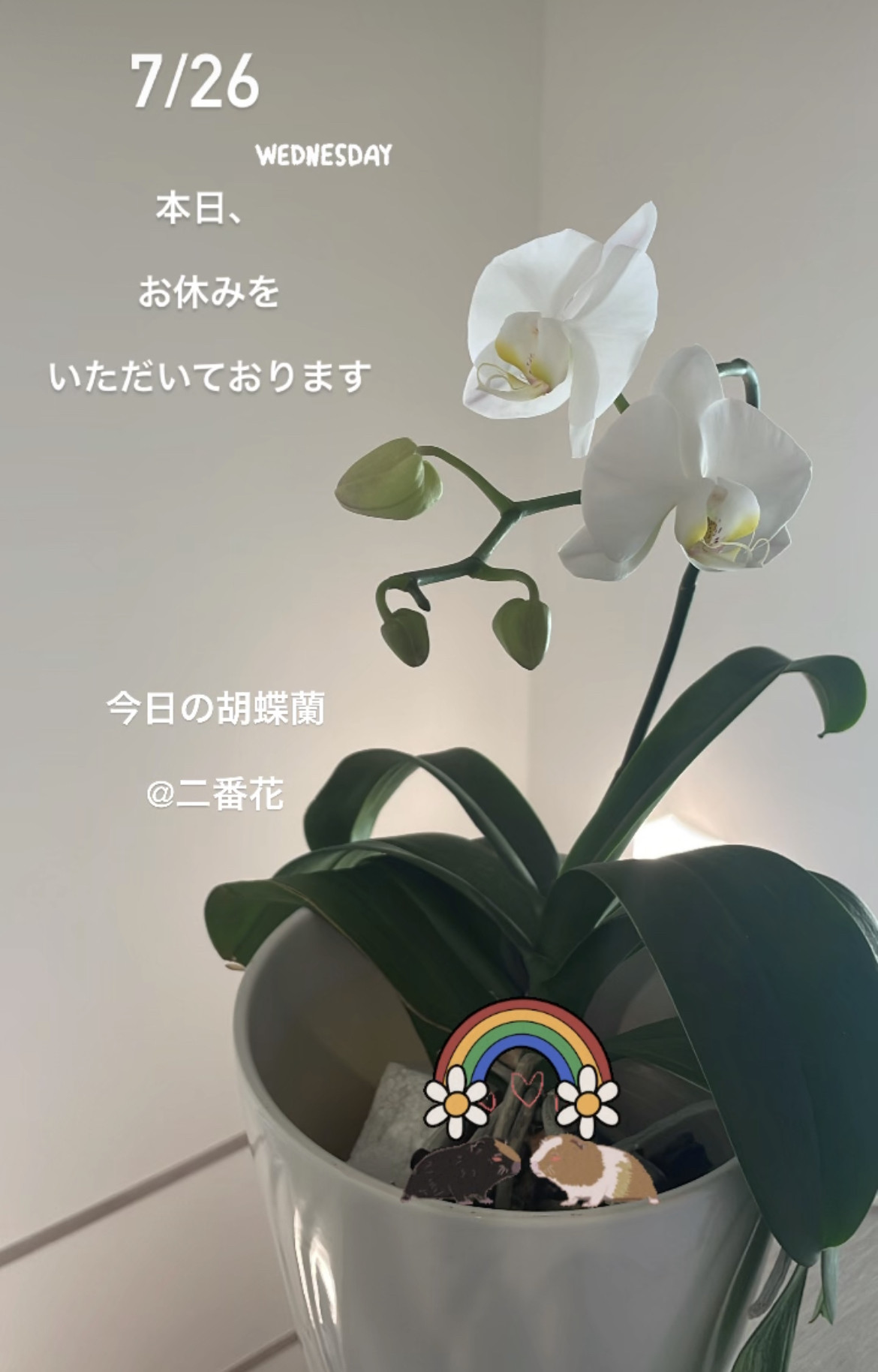 ✴︎7/26(水)お休みをいただいております✴︎