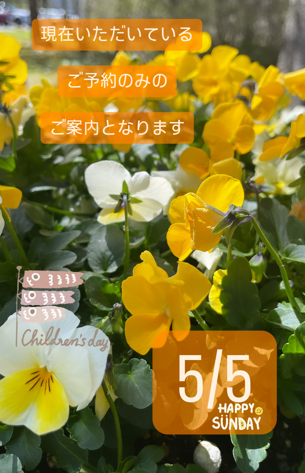 ＊ 5/5(日)夜営業 ＊