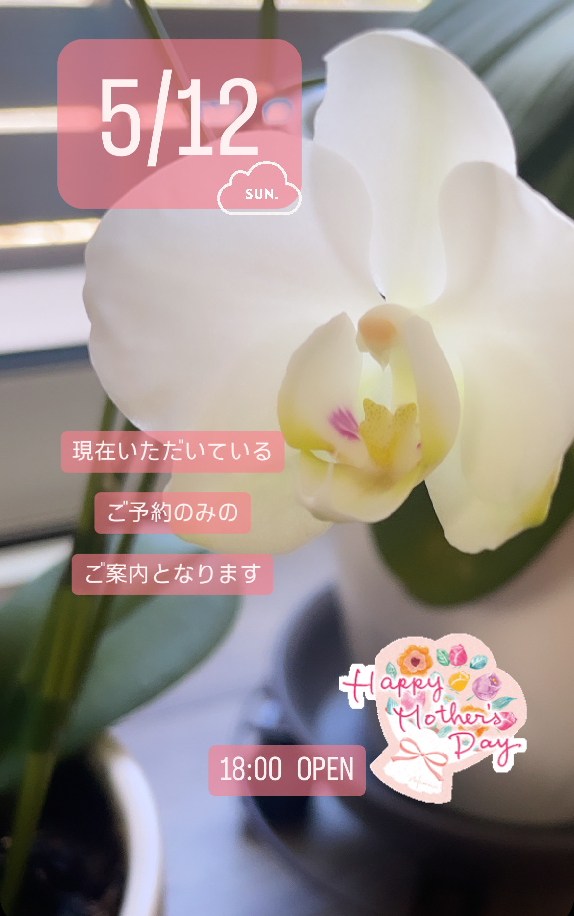 ＊ 5/12(日)夜営業 ＊