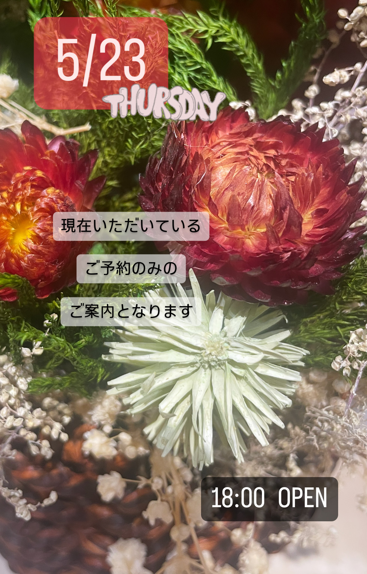 ＊ 5/23(木)夜営業 ＊