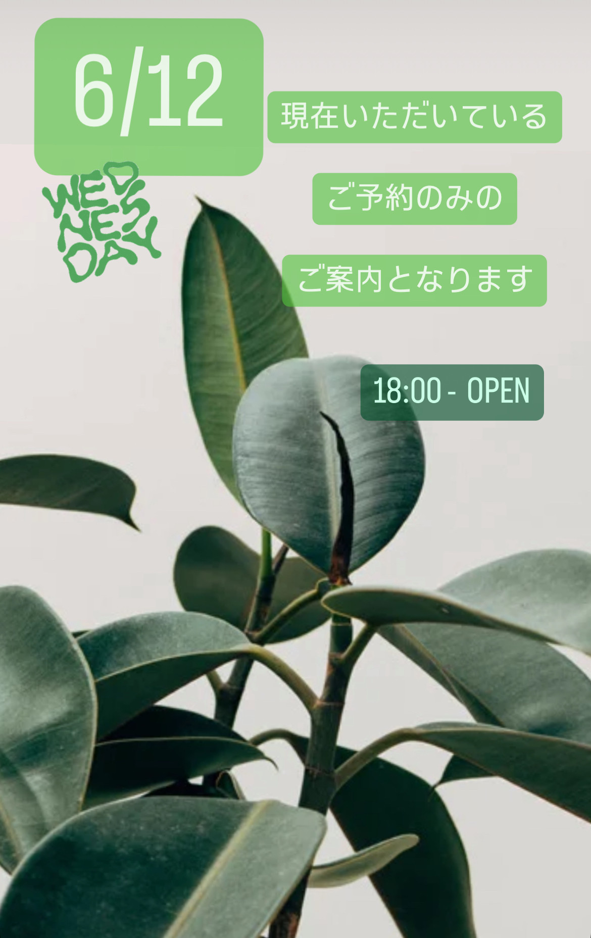 ＊ 6/12(水)夜営業 ＊