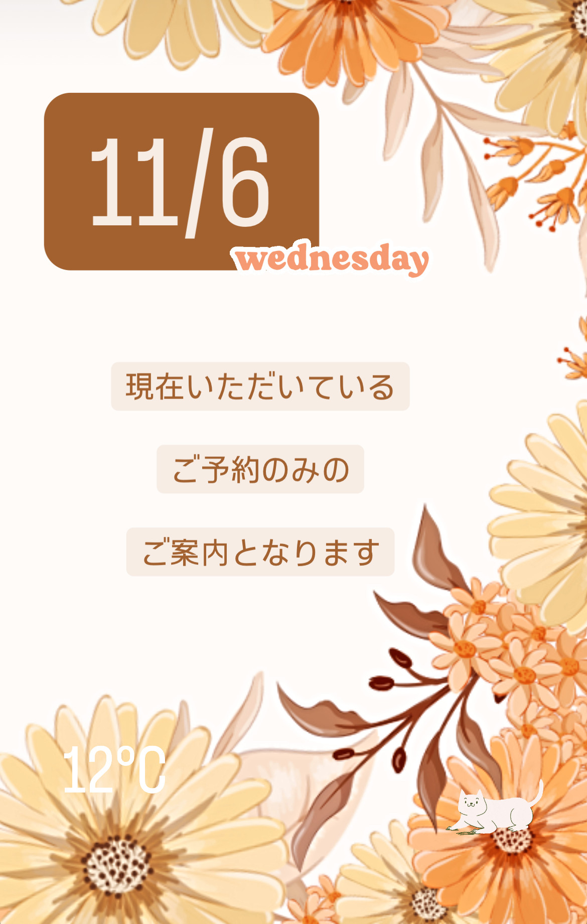 ＊ 11/6(水)夜営業 ＊