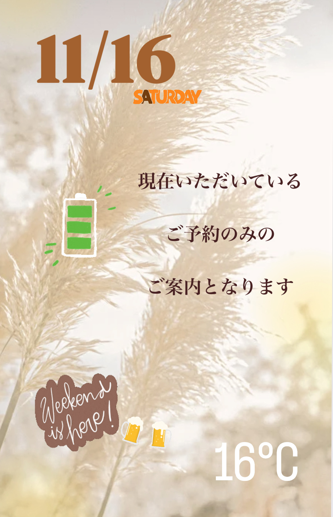 ＊ 11/16(土)夜営業 ＊