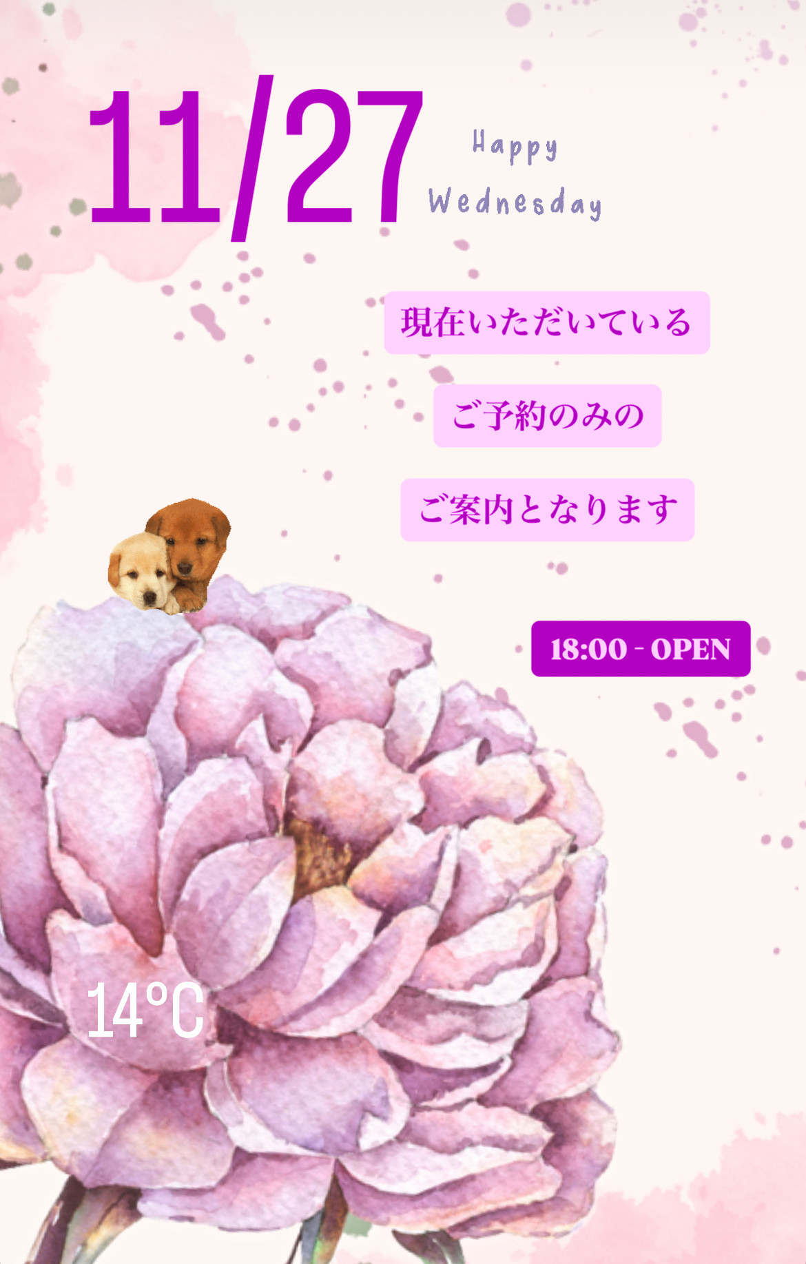＊ 11/27(水)夜営業 ＊