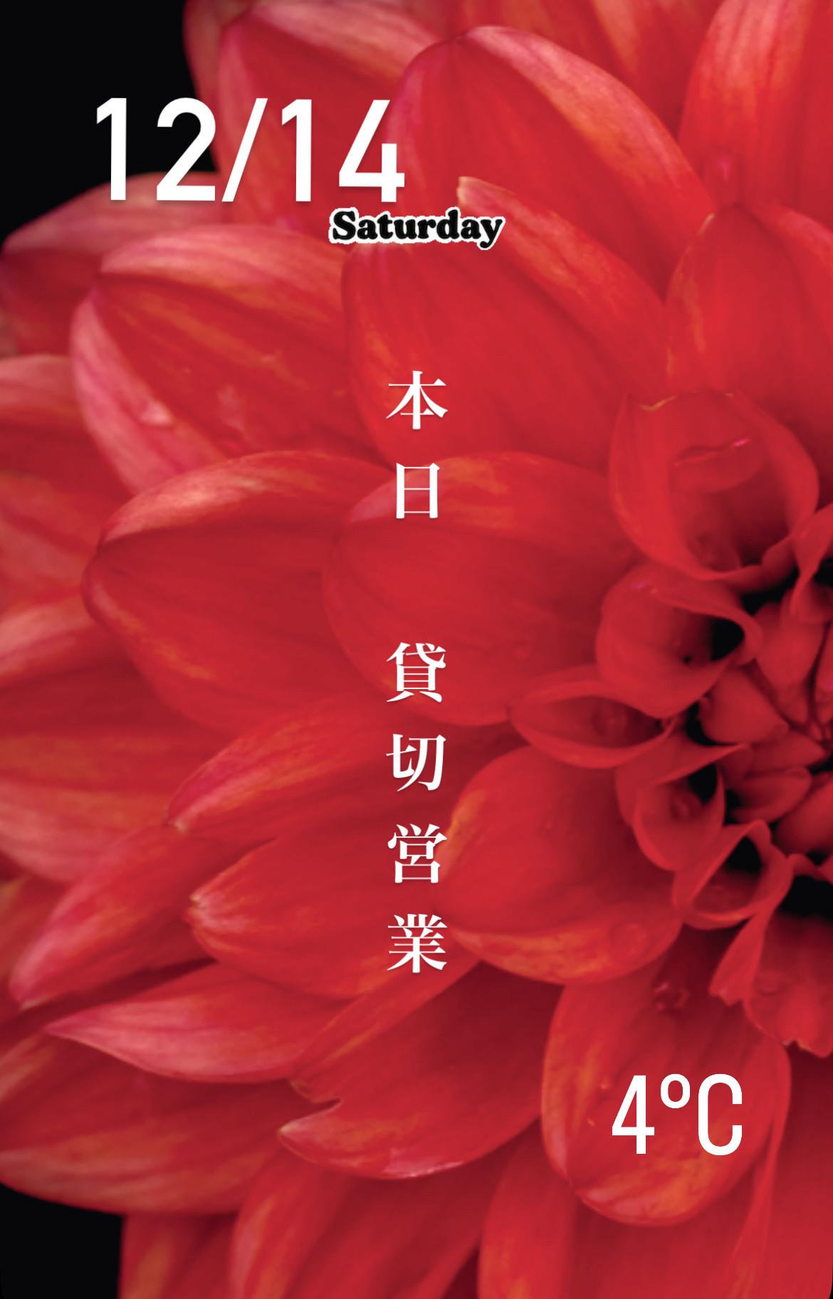＊ 12/14(土)夜営業 ＊