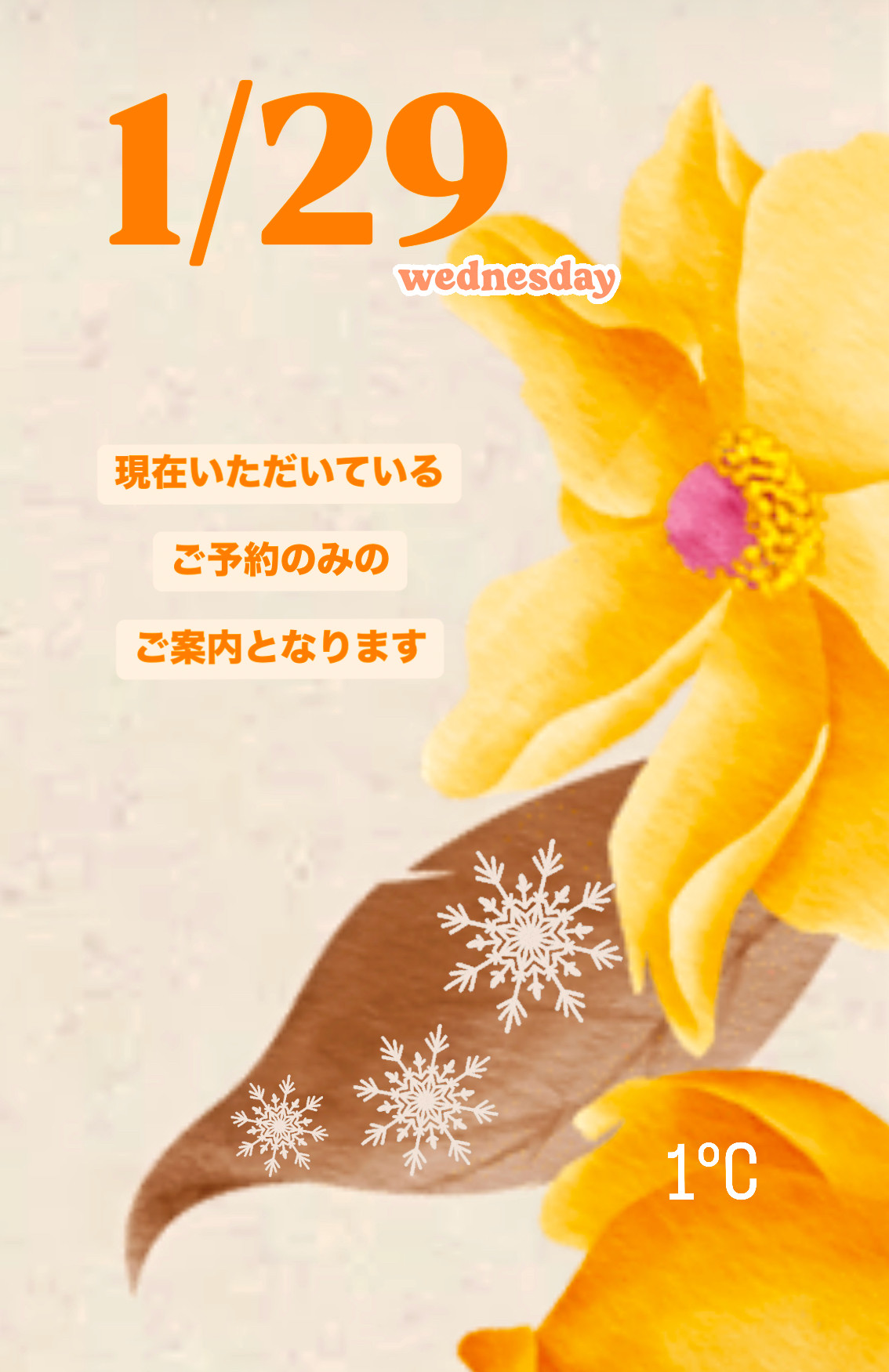 ＊ 1/29(水)夜営業 ＊