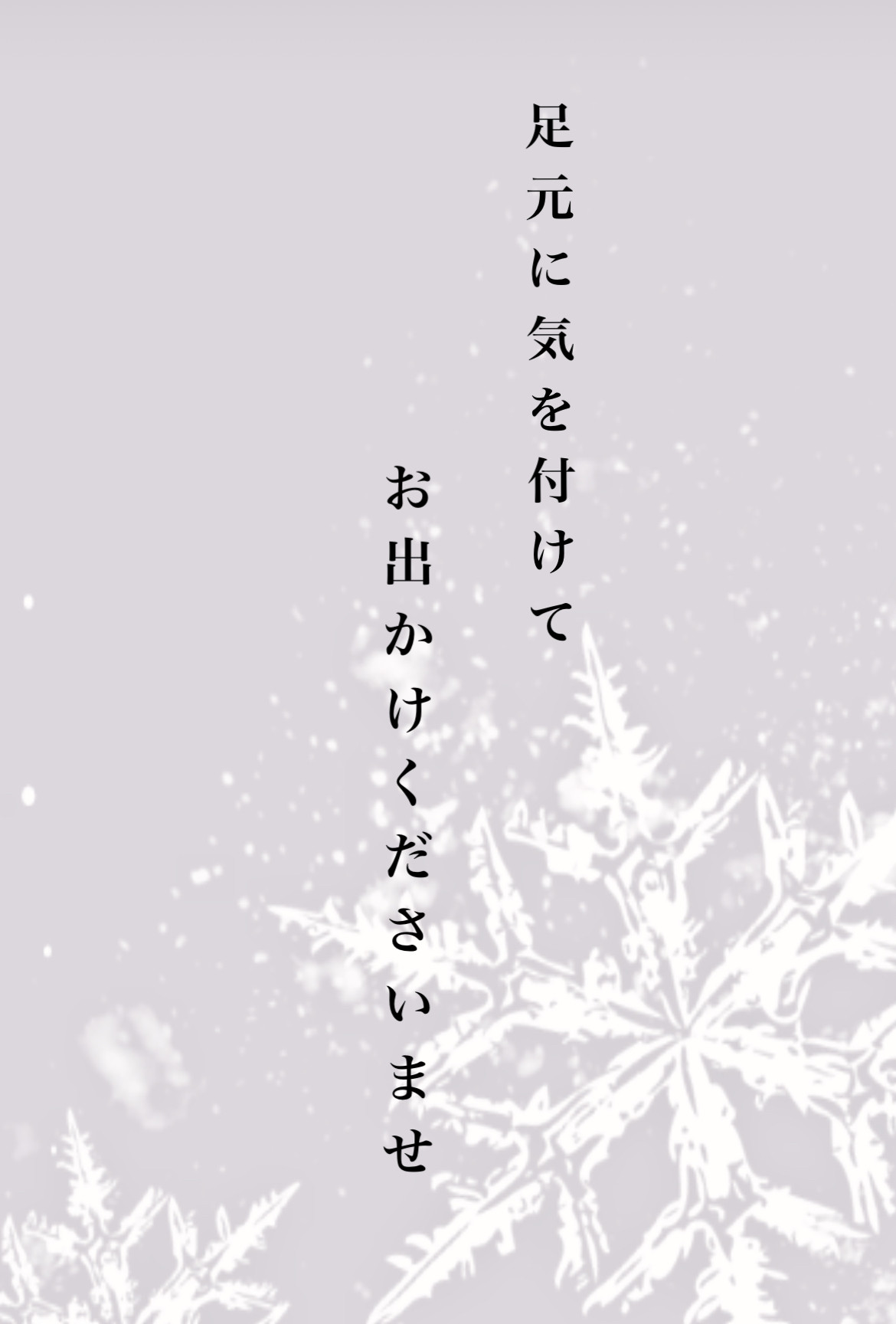 ＊ 積雪 ＊