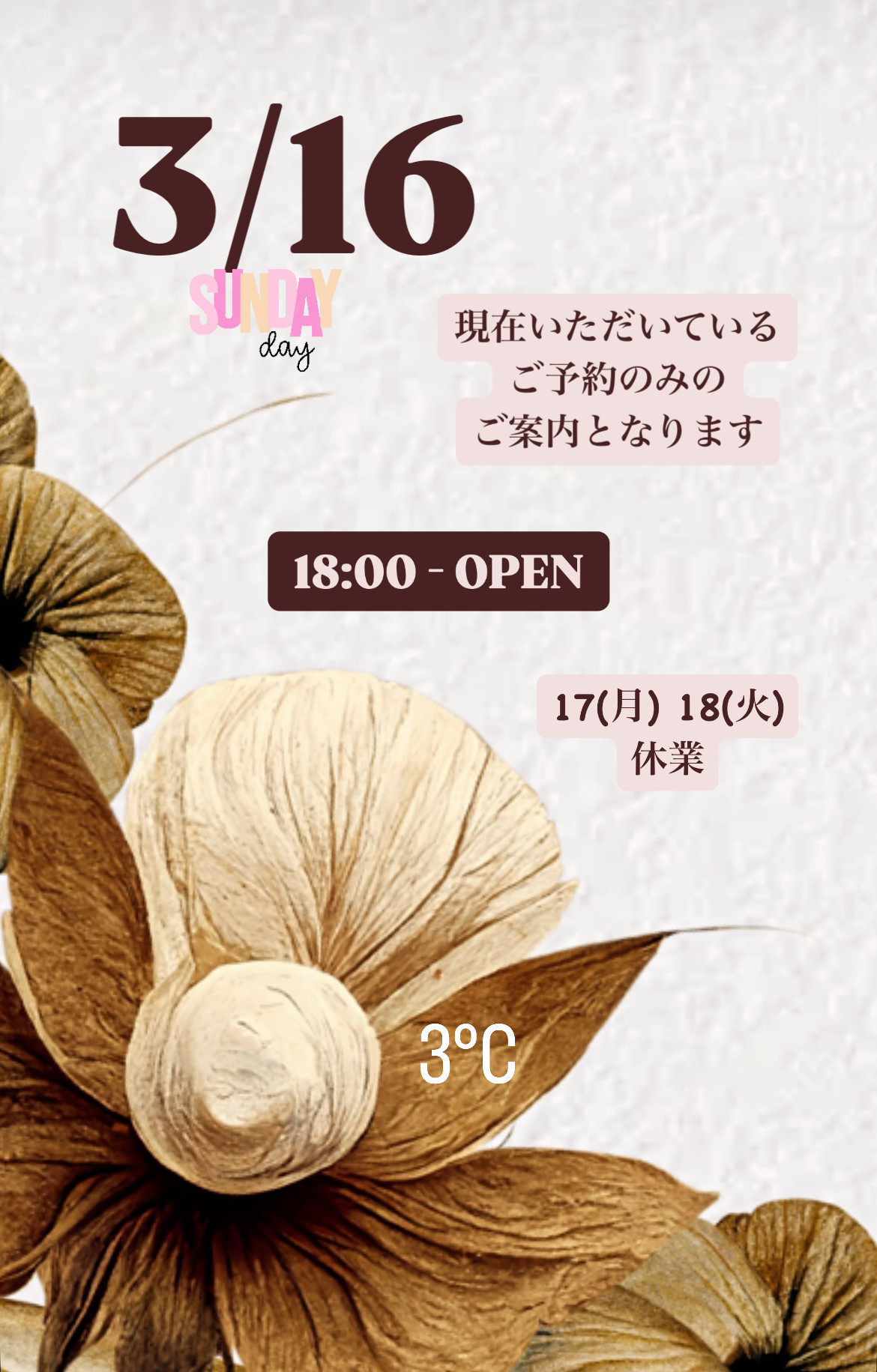 ＊ 3/16(日)夜営業 ＊