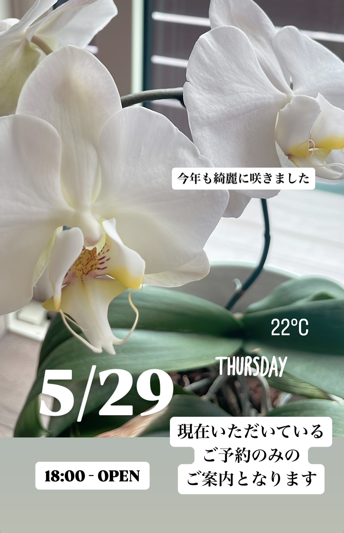 ＊ 5/29(木)夜営業 ＊