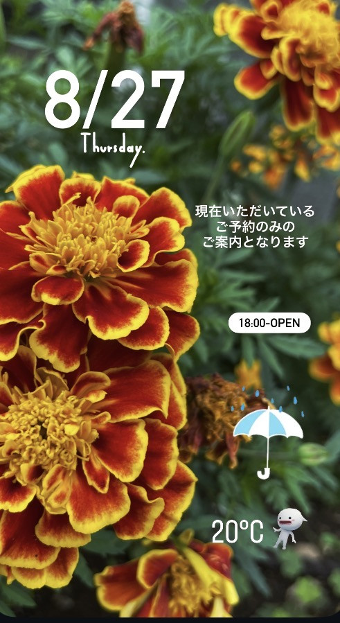 ＊ 8/27(木)夜営業 ＊