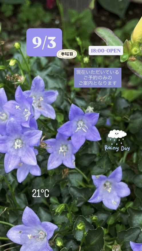 ＊ 9/3(木)夜営業 ＊
