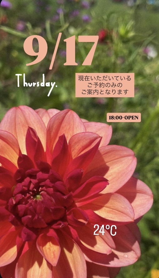 ＊ 9/17(木)夜営業 ＊