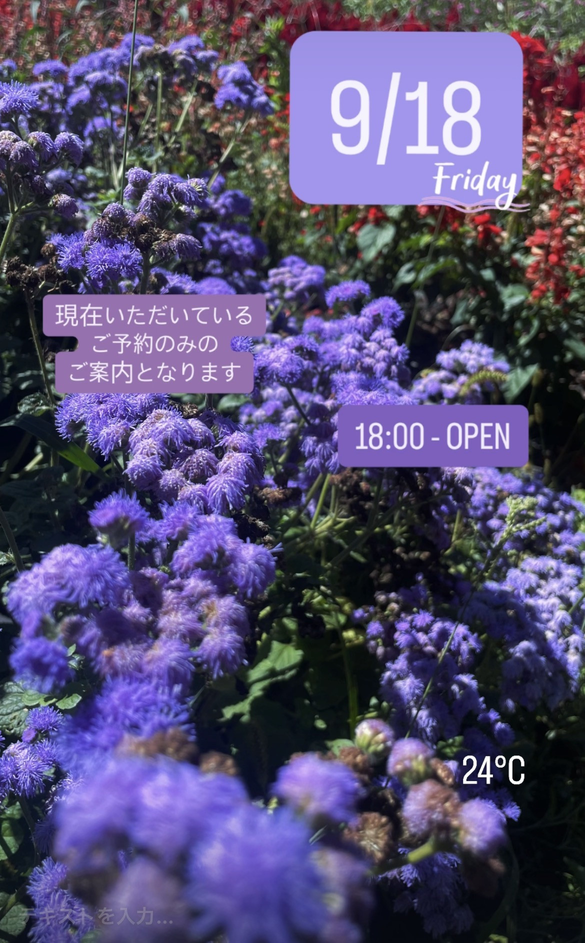 ＊ 9/18(金)夜営業 ＊