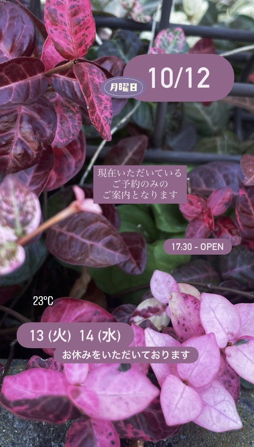 ＊ 10/12(月)夜営業 ＊