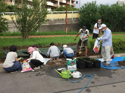 潮音の街自治会(潮騒クラブ）芝桜花壇作成