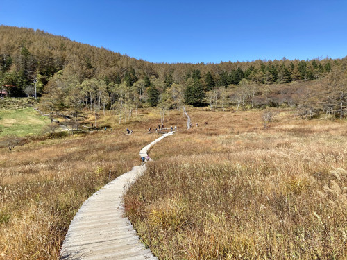 入笠湿原の秋🍁