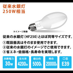 水銀灯形 LED電球（250W相当）LFL-ED090030-5K-N