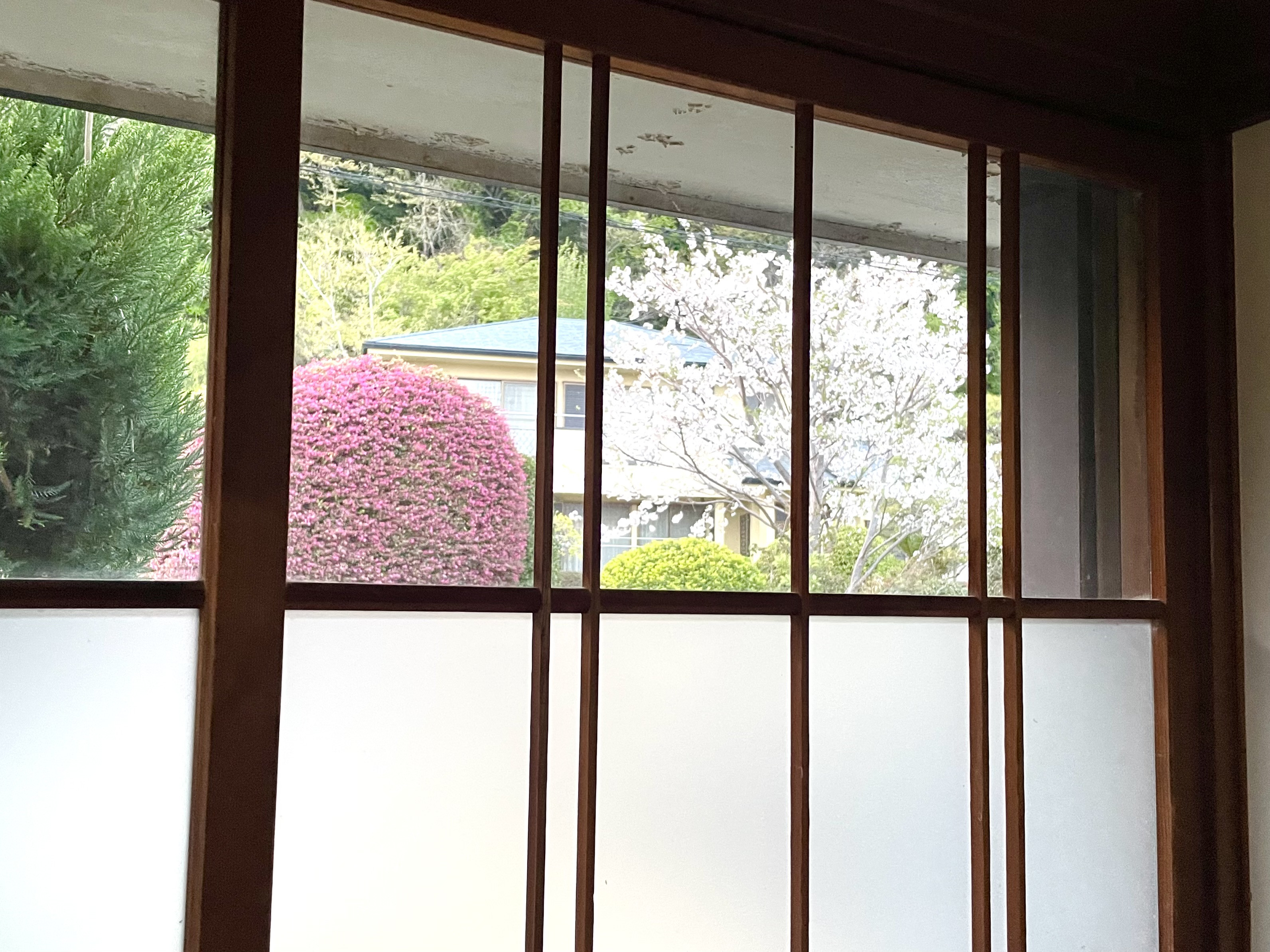 【明日、明後日営業します】 ✳︎土曜日も営業します!