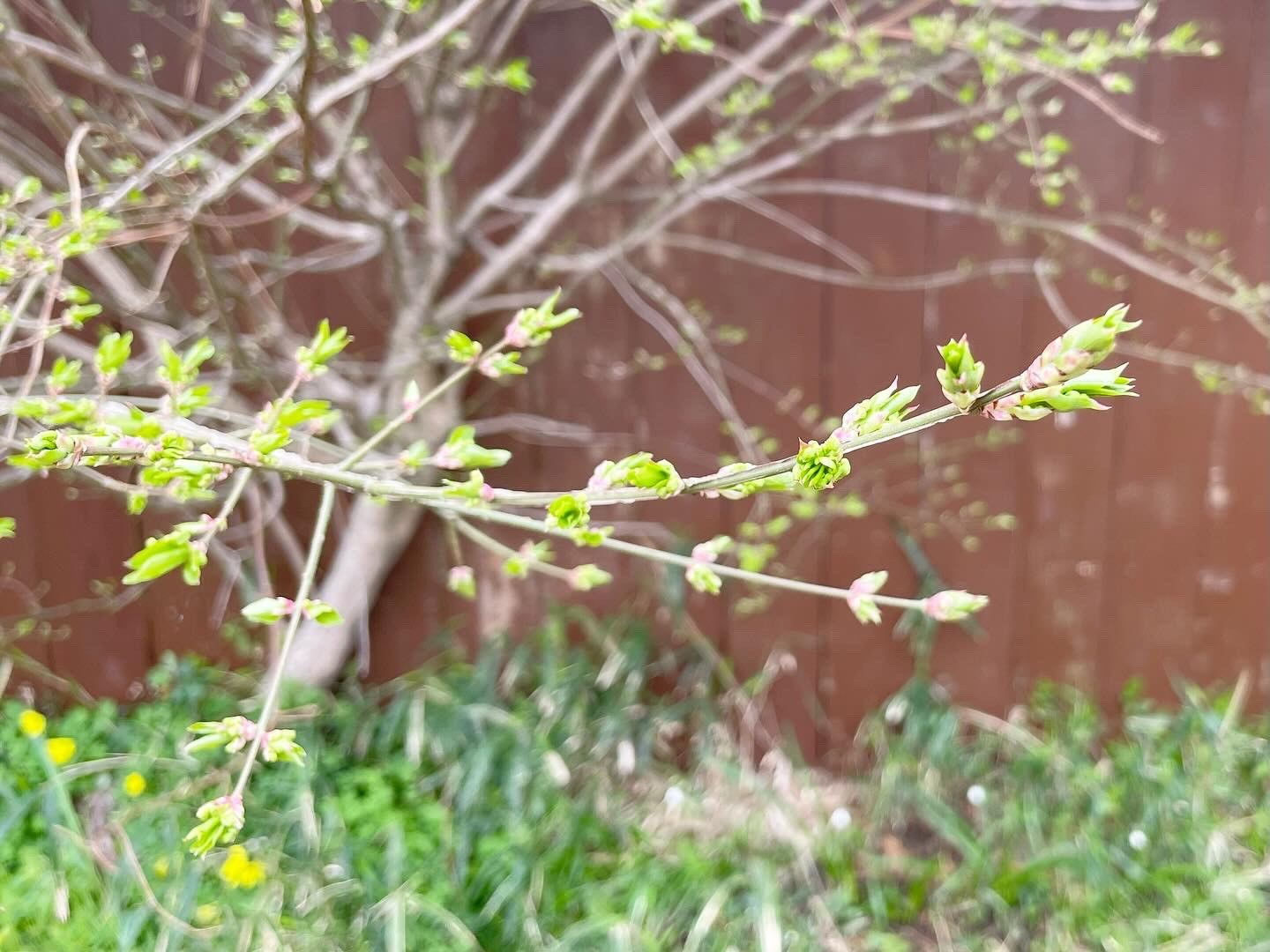 しっとりと潤って…