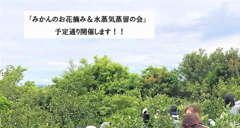5 のコピー.jpeg