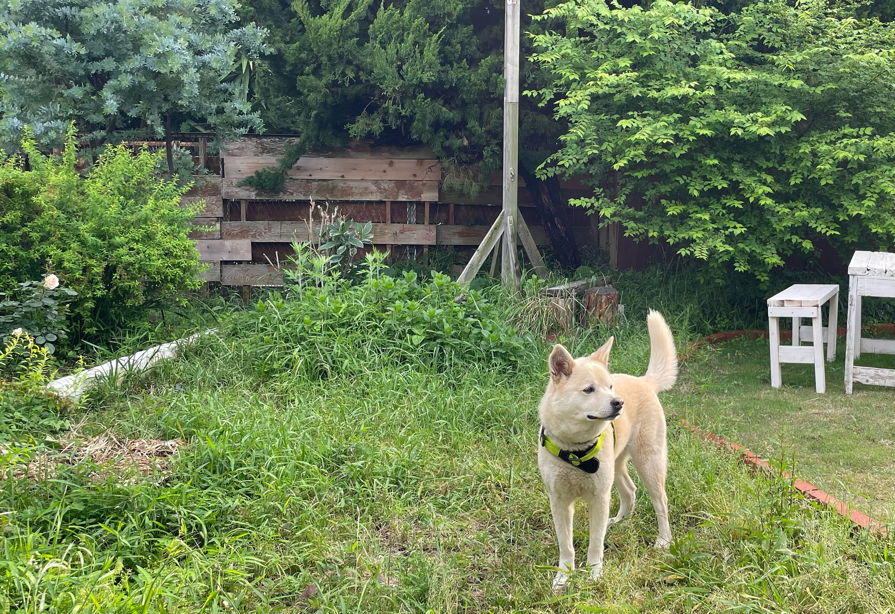 D2773274-569F-4D36-BB41-BF262DF04B74.jpeg