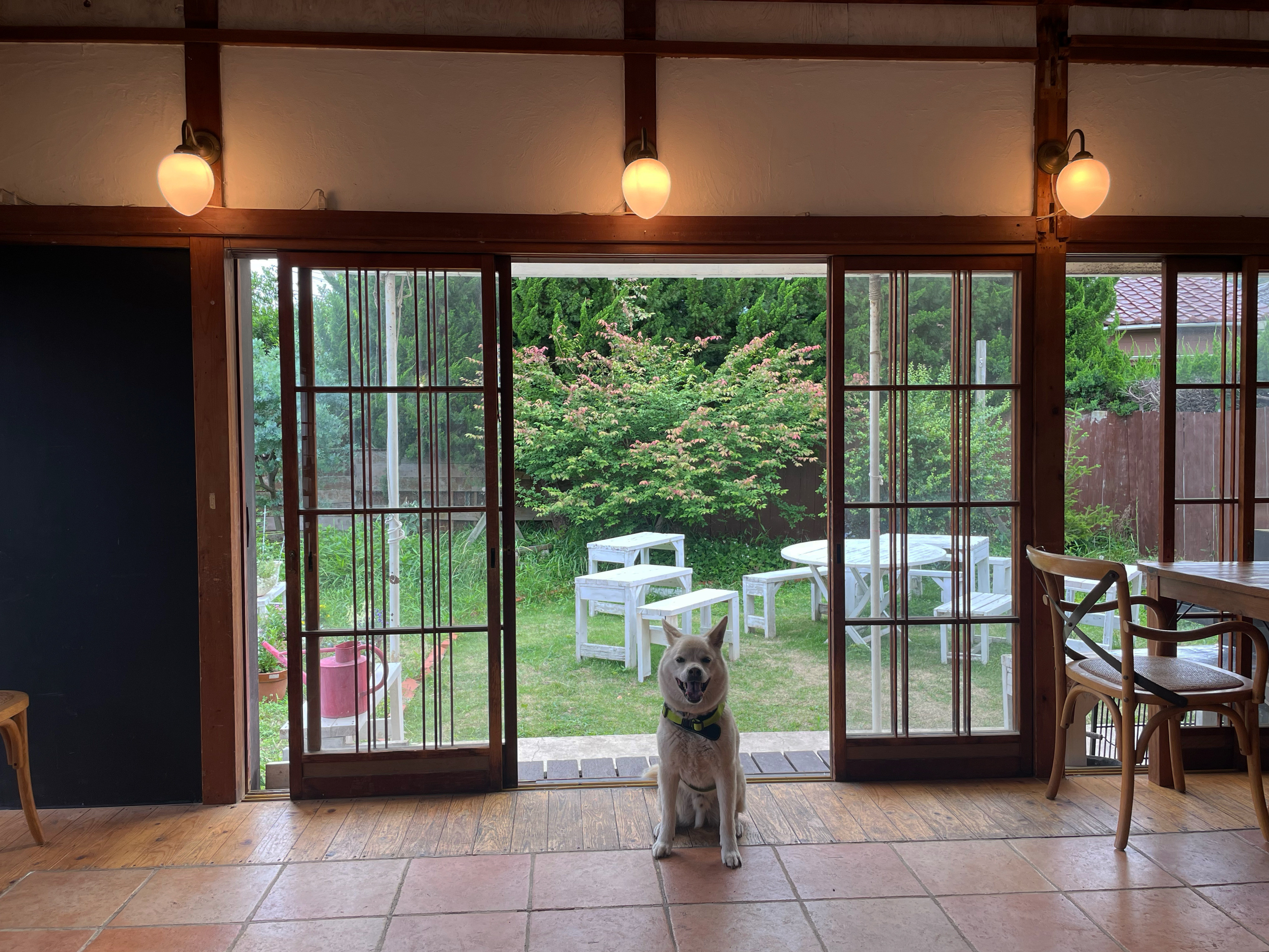 明日土曜日は貸切りです!
