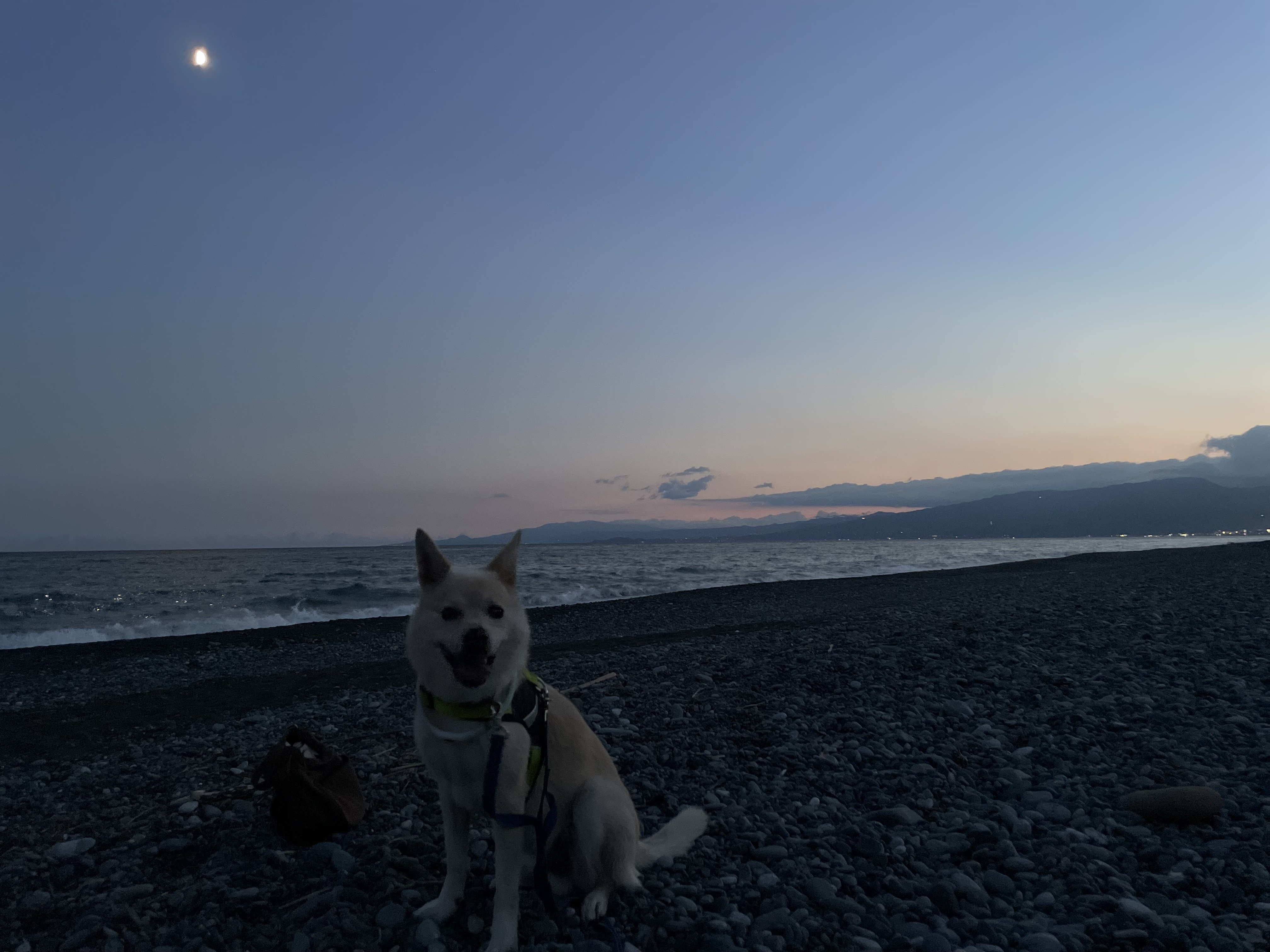 IMG_9046.jpeg