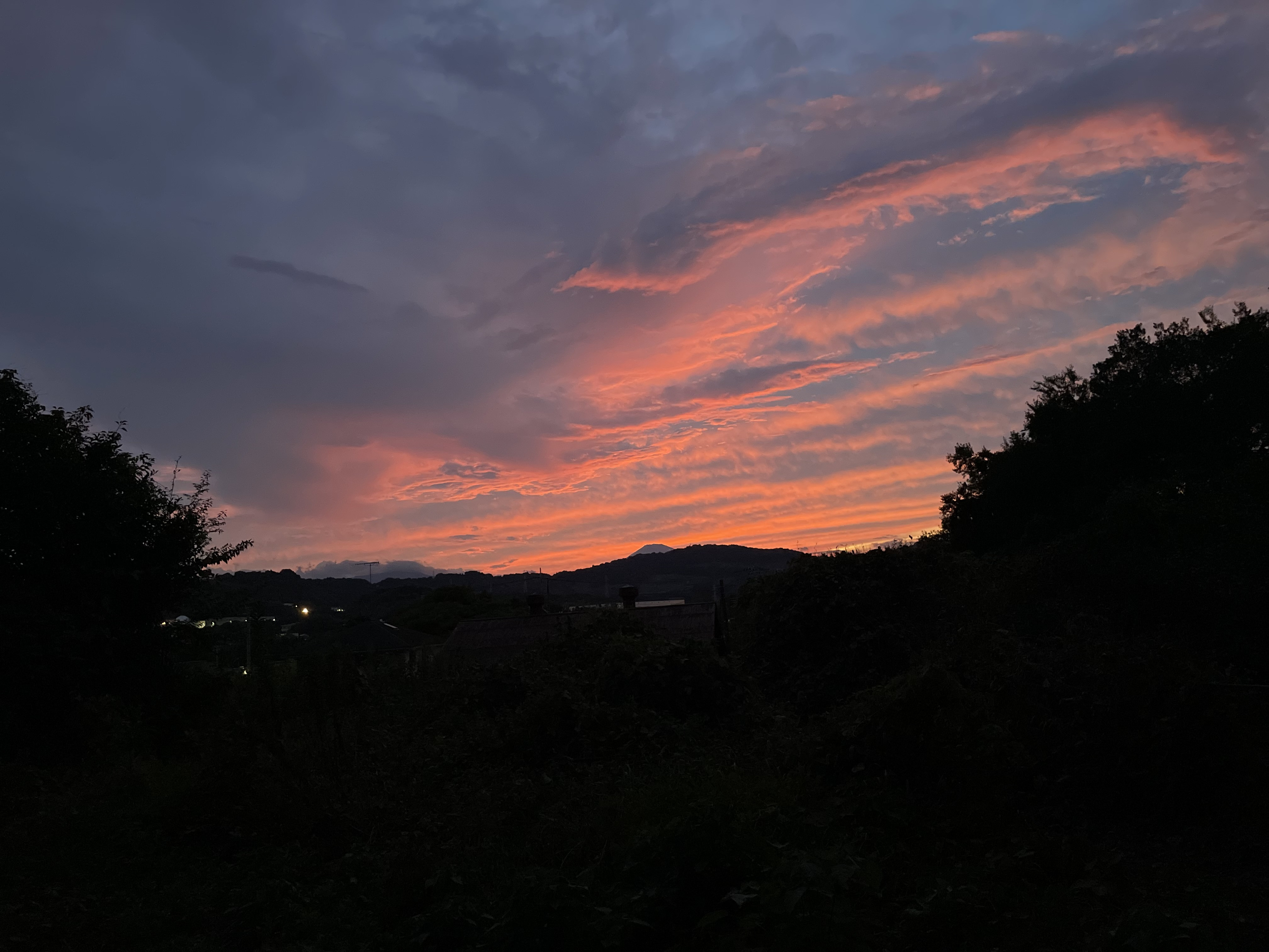 IMG_9063.jpeg