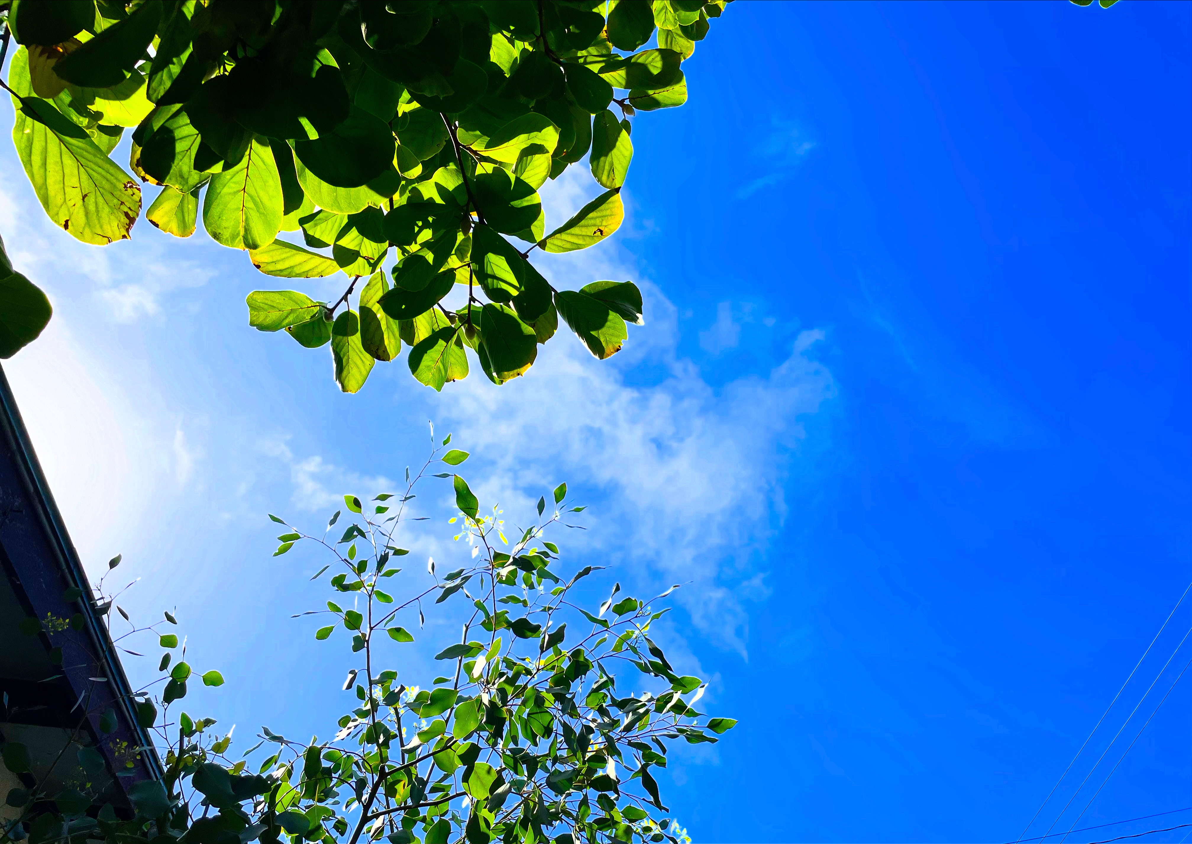 2B01882B-AEA7-4C0F-8787-138C536D0657.jpeg