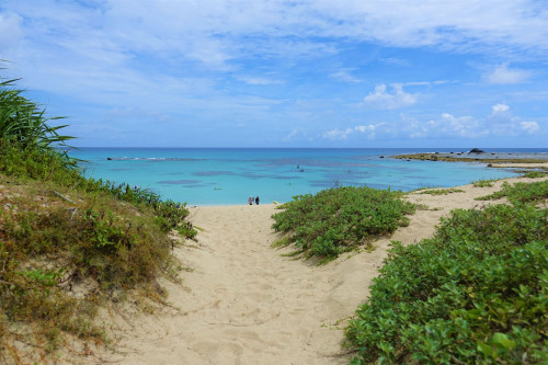 土盛海岸① 圧縮ファイル.jpg