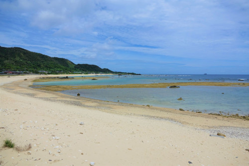 用海岸① 圧縮.jpg