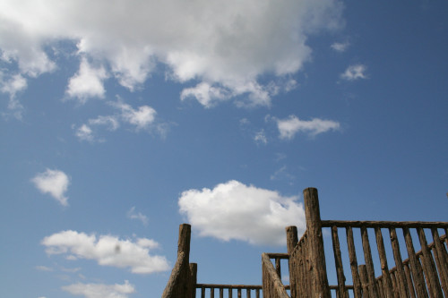 【1/17 限定|共同セッションDAY】