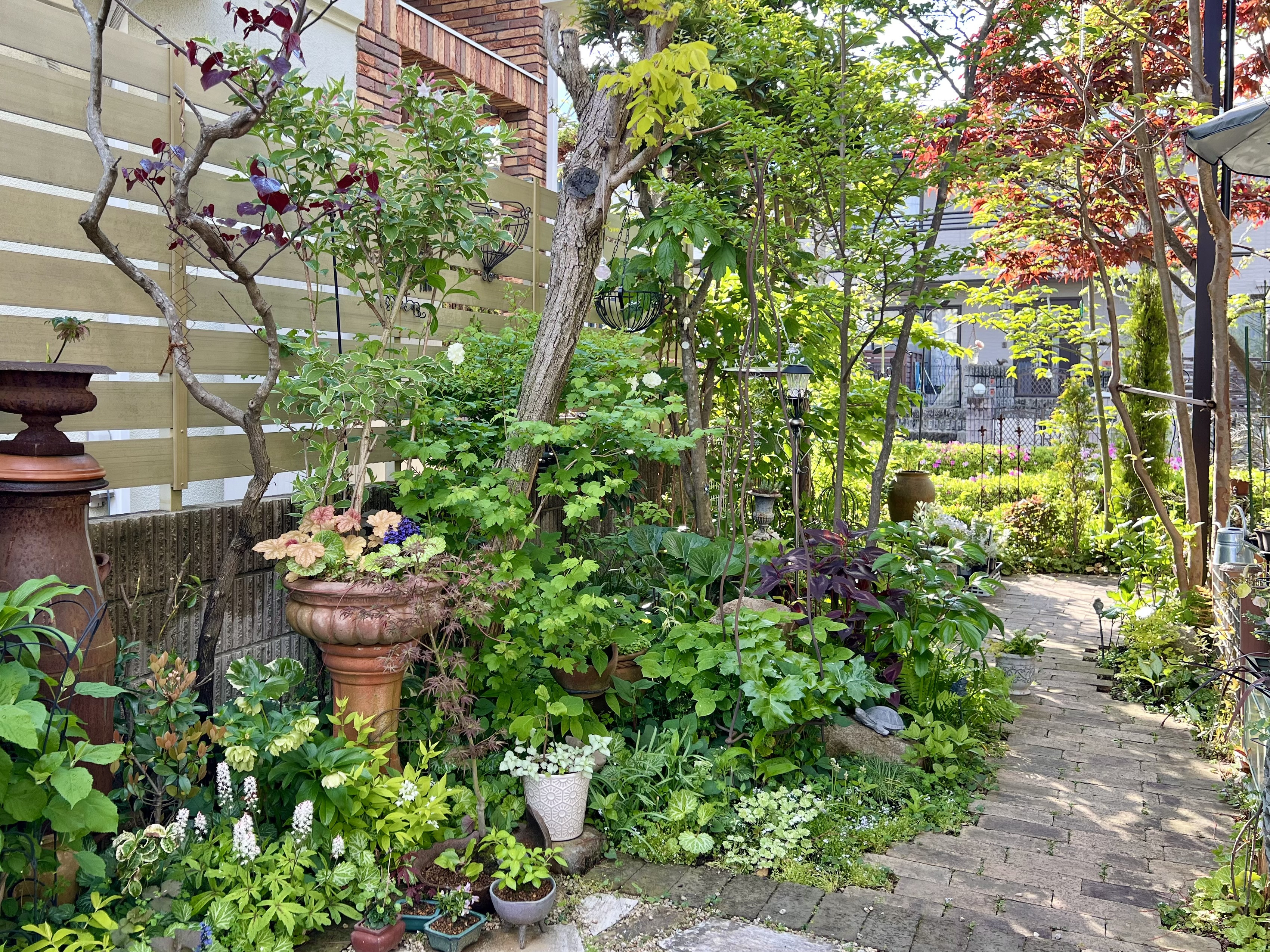 2025年5月 ❃ OPEN GARDEN