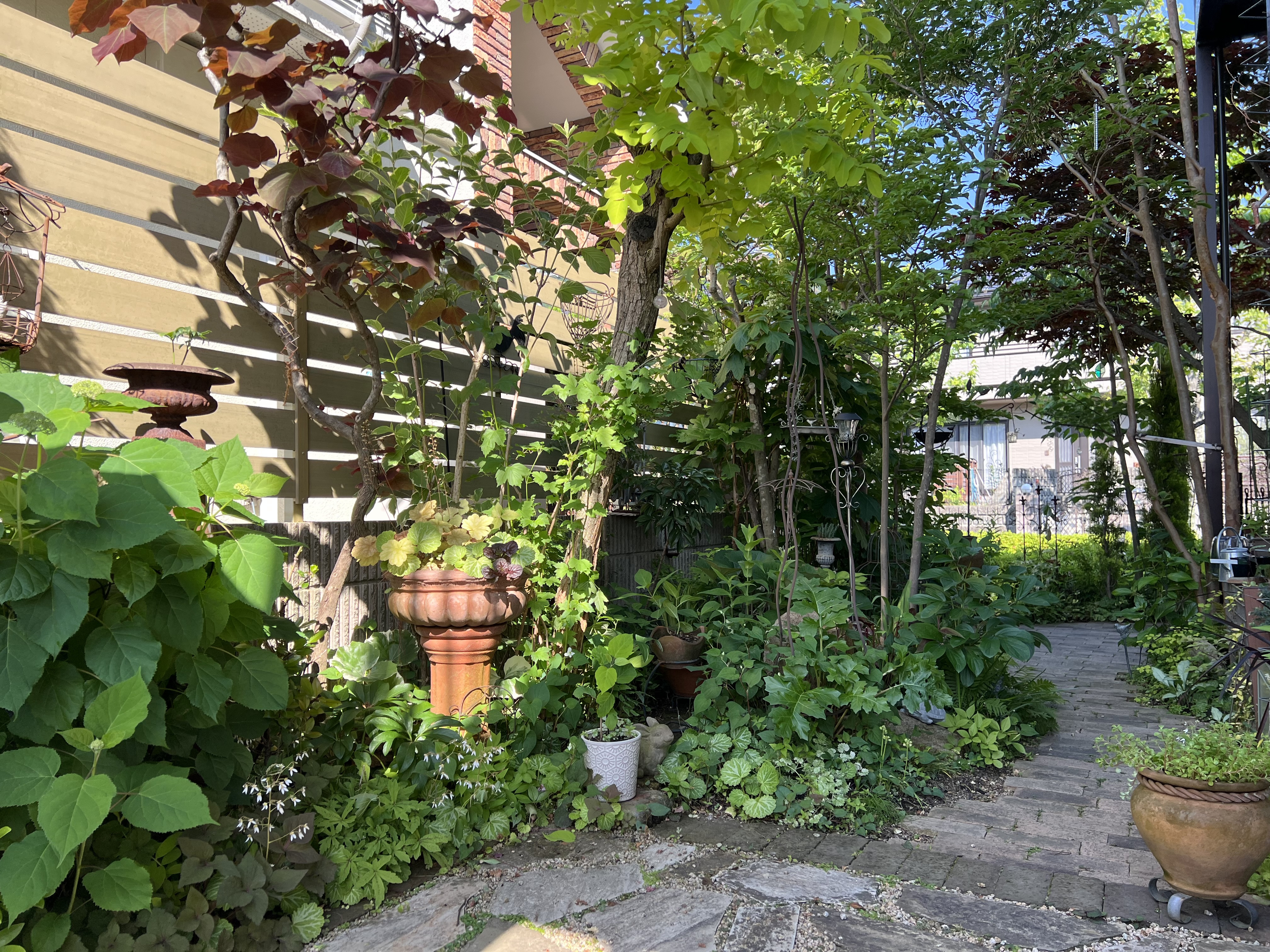 2025年6月 ❃ OPEN GARDEN