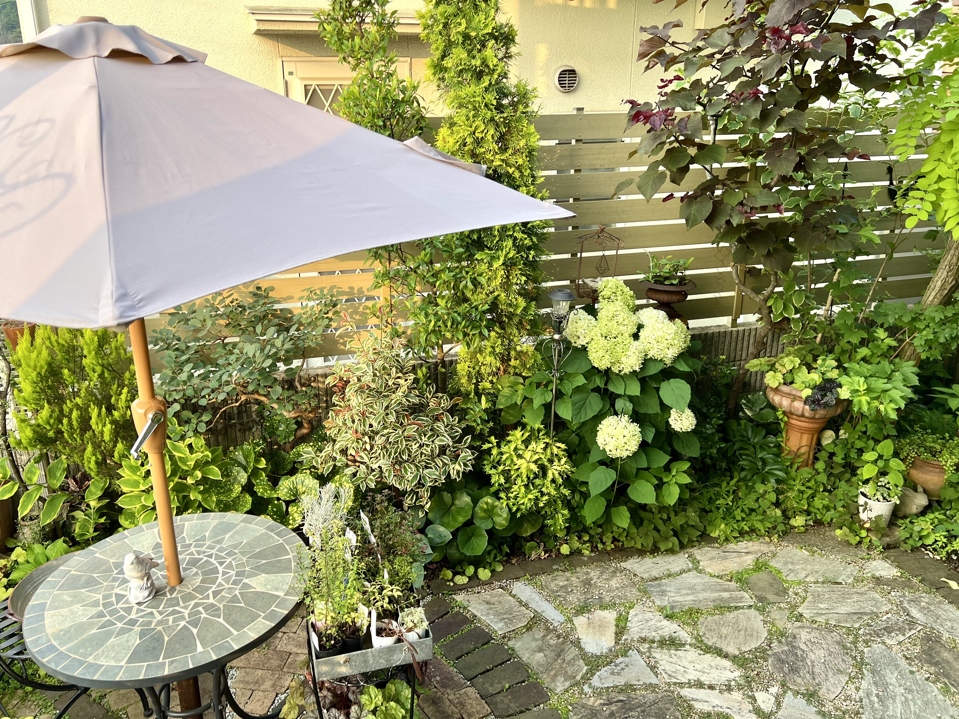 2025年7月 ❃ OPEN GARDEN