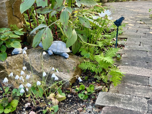 2026年10月 ❃ OPEN GARDEN