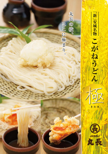 中日新聞三河版に掲載されました。