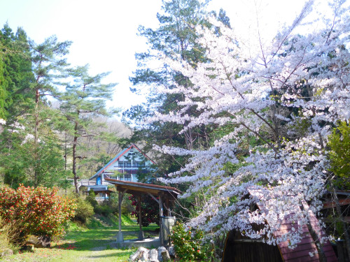 DSCN4033.JPG